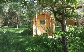 Glamping Pod Im Wald Mit Hund