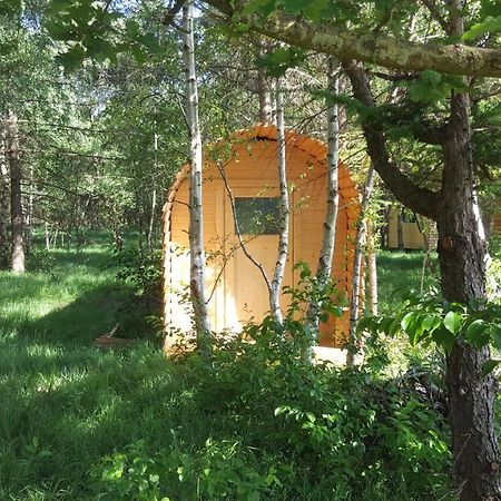 Hotel Glamping Pod Im Wald Mit Hund Nordholz Exterior foto