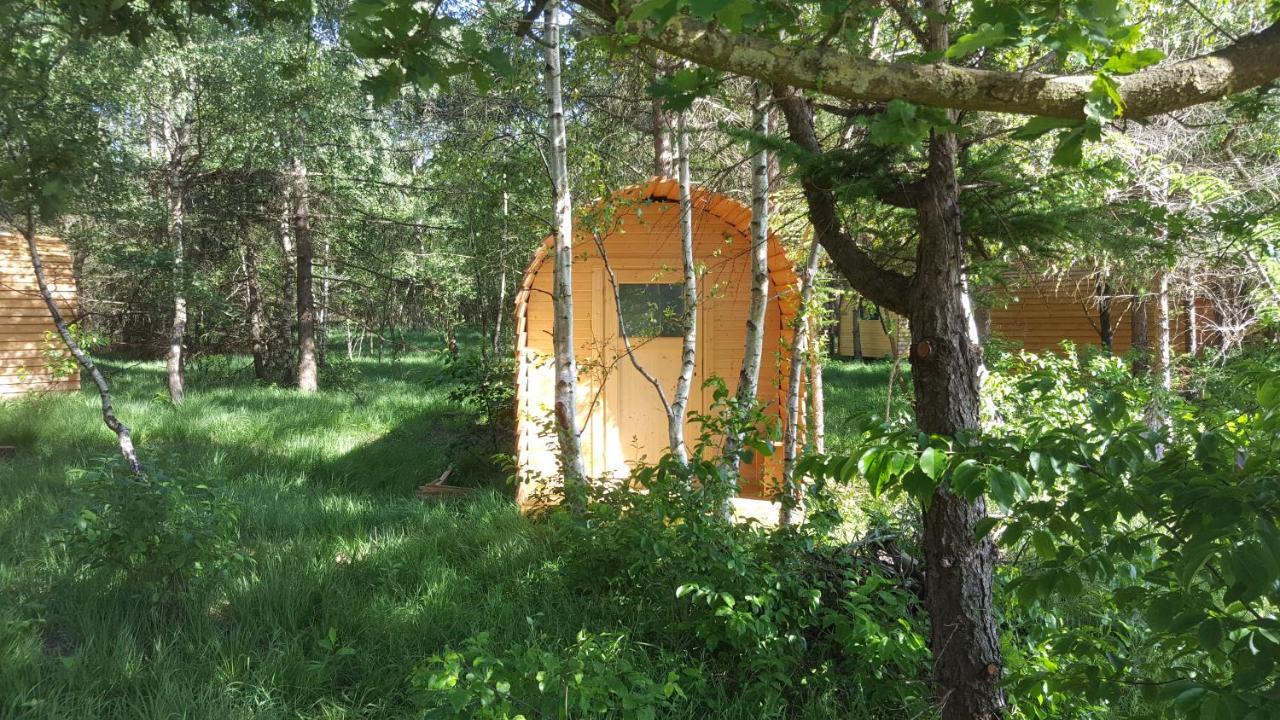 Hotel Glamping Pod Im Wald Mit Hund Nordholz Exterior foto